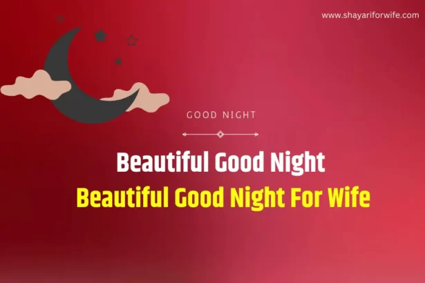 Beautiful Good Night