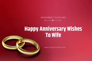 TOP 55+ Happy Anniversary Wishes To Wife | शादी की सालगिरह की शुभकामनाएं व संदेश