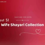 wife shayari collection