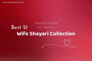 Best 51 Husband Wife Shayari | ताजा शायरी | Wife Shayari in Hindi