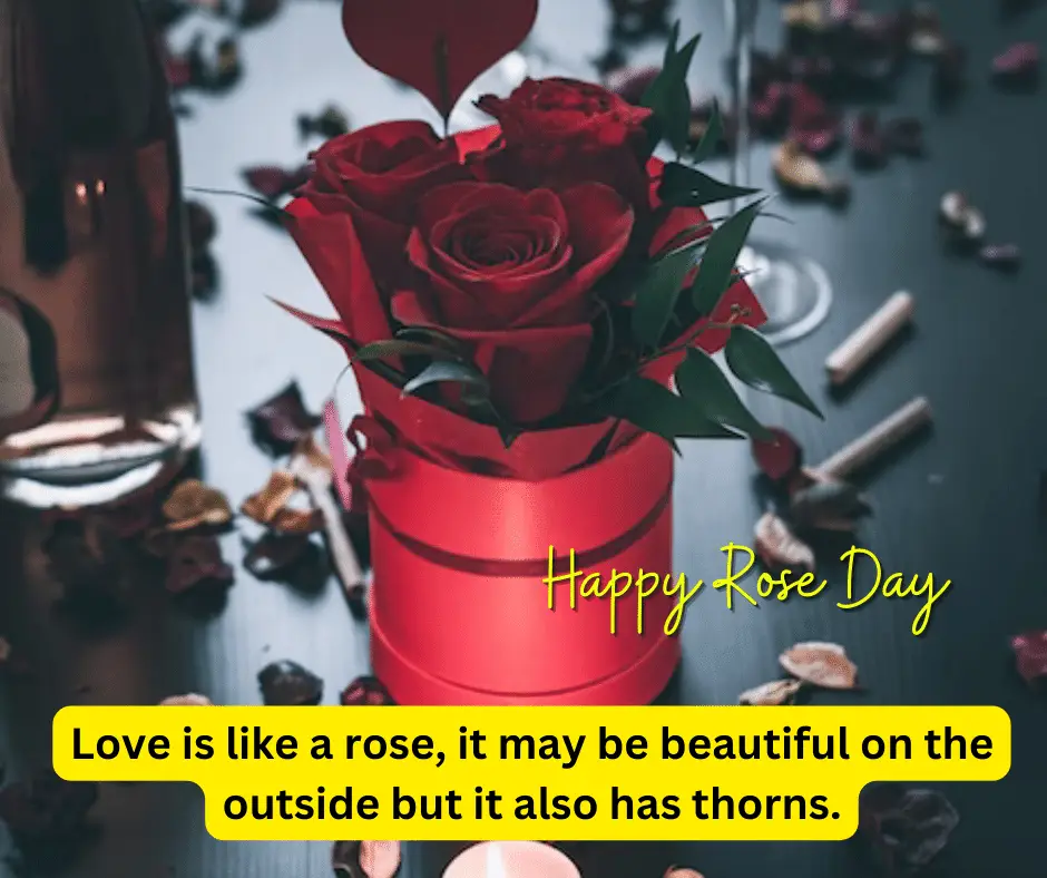 Romantic Rose Images