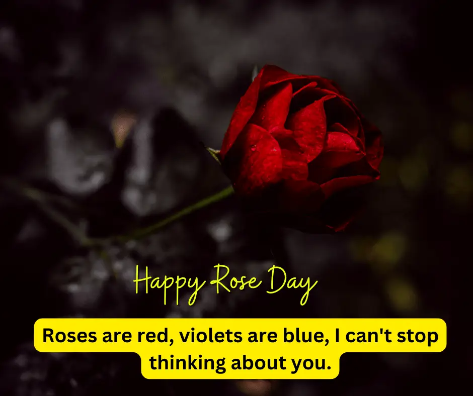 Romantic Rose Images