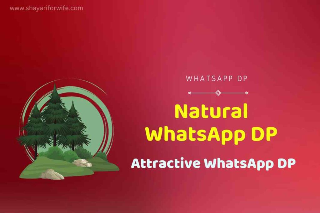 Natural Attractive WhatsApp DP