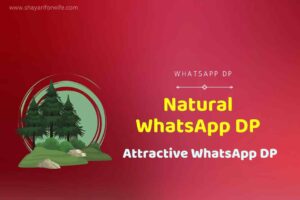 Get Inspired by the Beauty of Nature: Natural Attractive WhatsApp DP Ideas