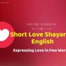 Short Love Shayari in English
