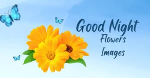 2023 Good Night Flowers Images ➤ Send Sweet Dreams | Beautiful Good Night Images