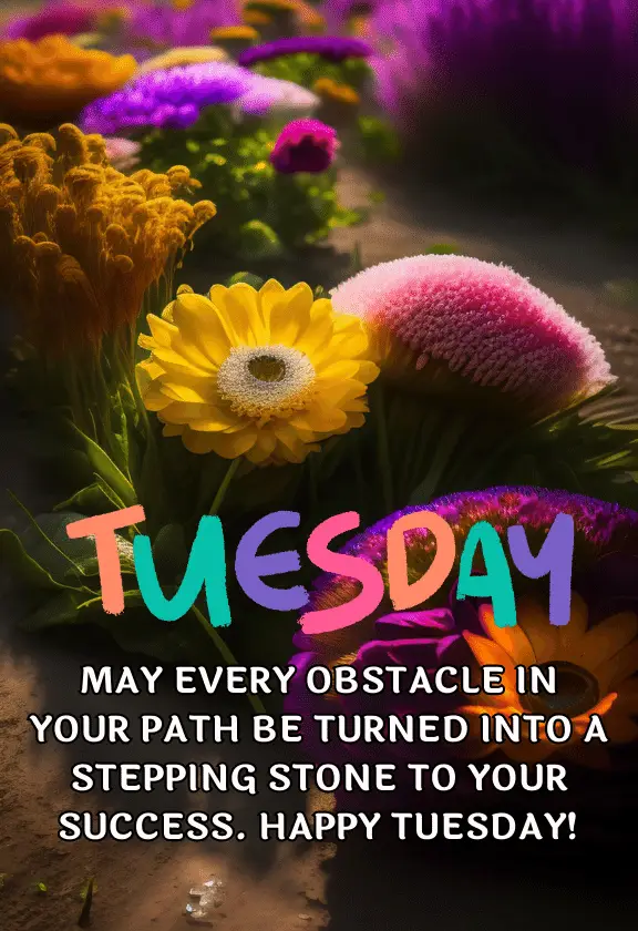 100 Best Tuesday Morning Blessings Images And Quotes