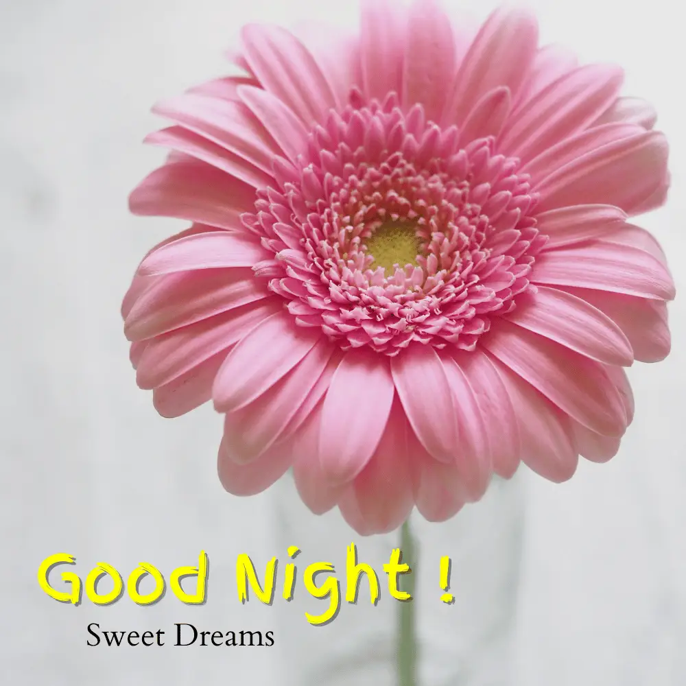Good Night Flowers Images