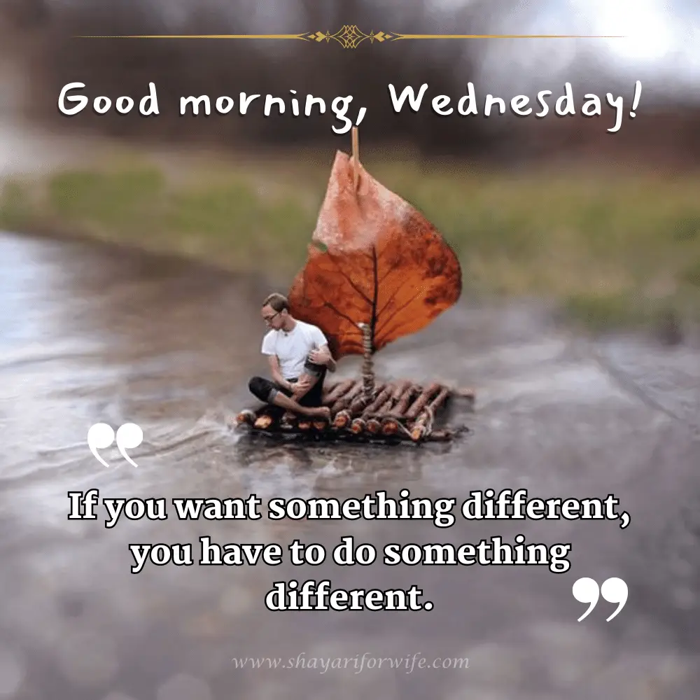 Wednesday morning quotes!