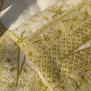 Ivory and Gold Floral Embroidered Organza Suit Set