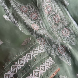 Sage Green Embroidered Organza Suit Set with Sequin Highlights