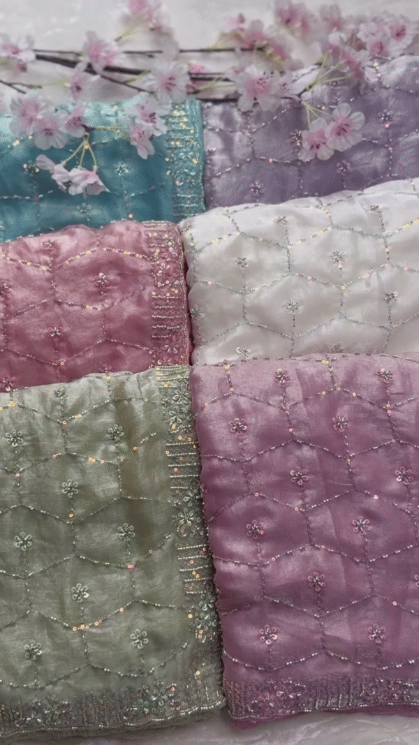 Ethereal Sheer Embroidered Dupatta Collection