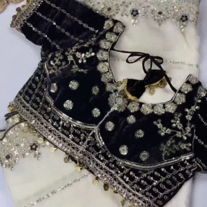 Classic Black & Ivory Heavy Embroidered Designer Blouse with Coin Latkan Border