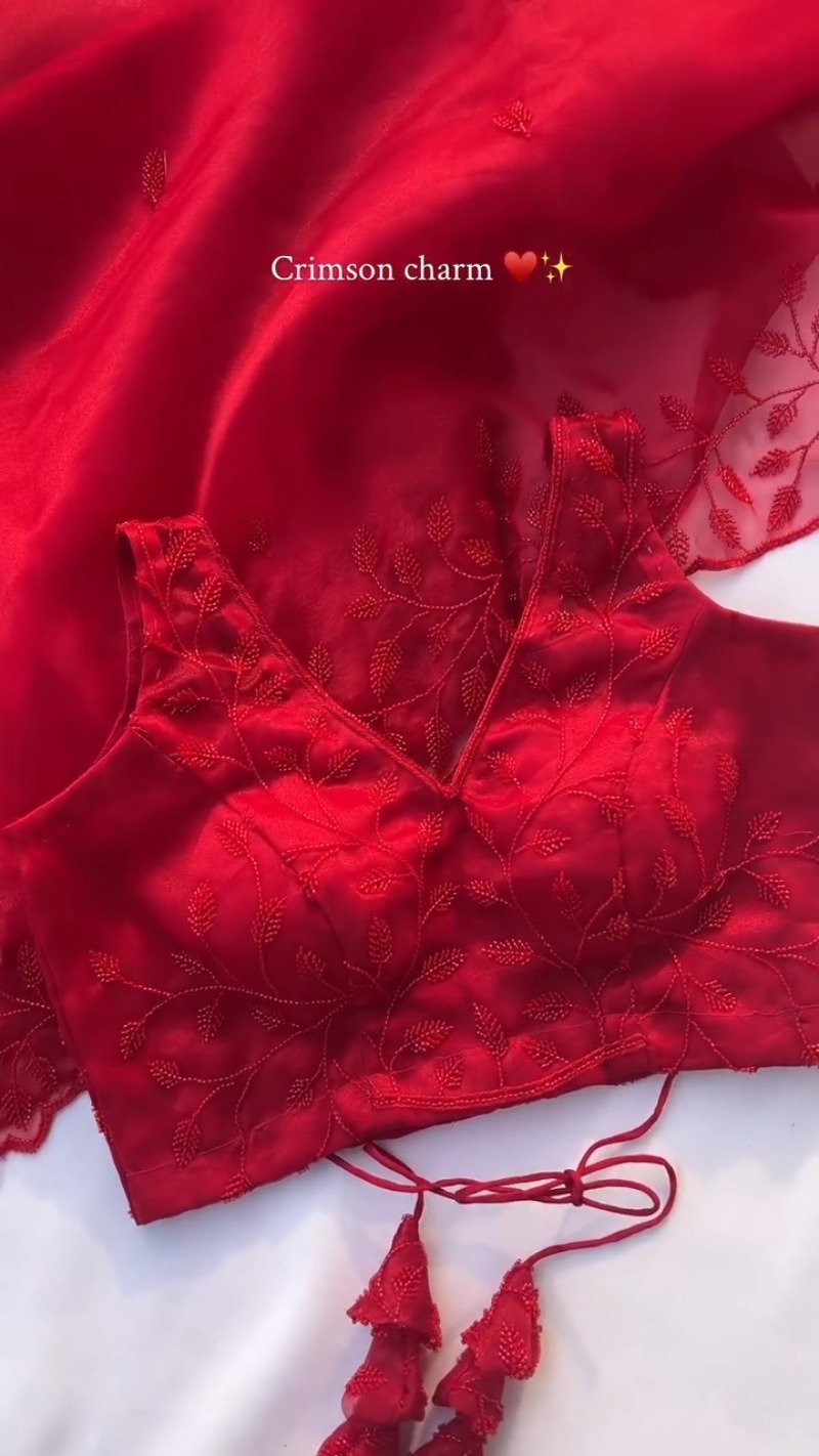 Crimson Charm V-Neck Embroidered Saree Ensemble - Image 3