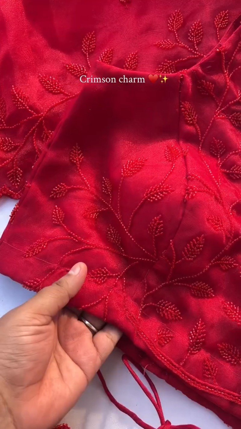 Crimson Charm V-Neck Embroidered Saree Ensemble - Image 4