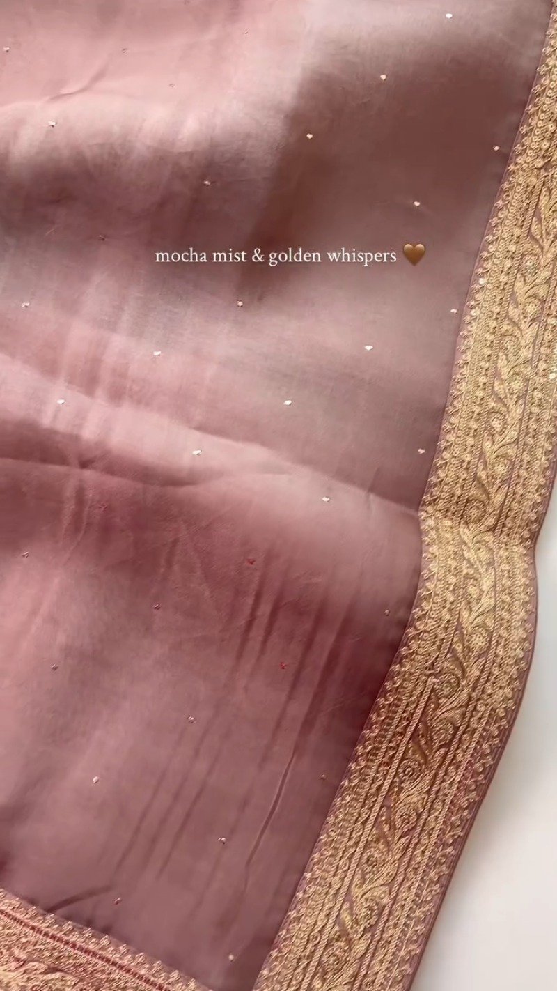 Mocha Mist Embroidered Saree with Golden Zari Border