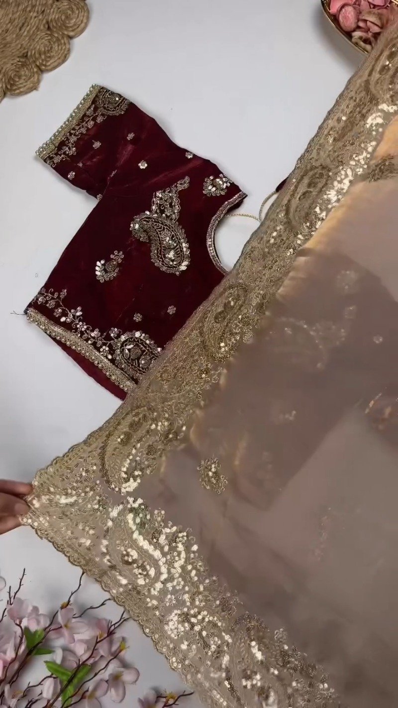Opulent Paisley Embellished Saree Ensemble – Available in Crimson & Deep Plum