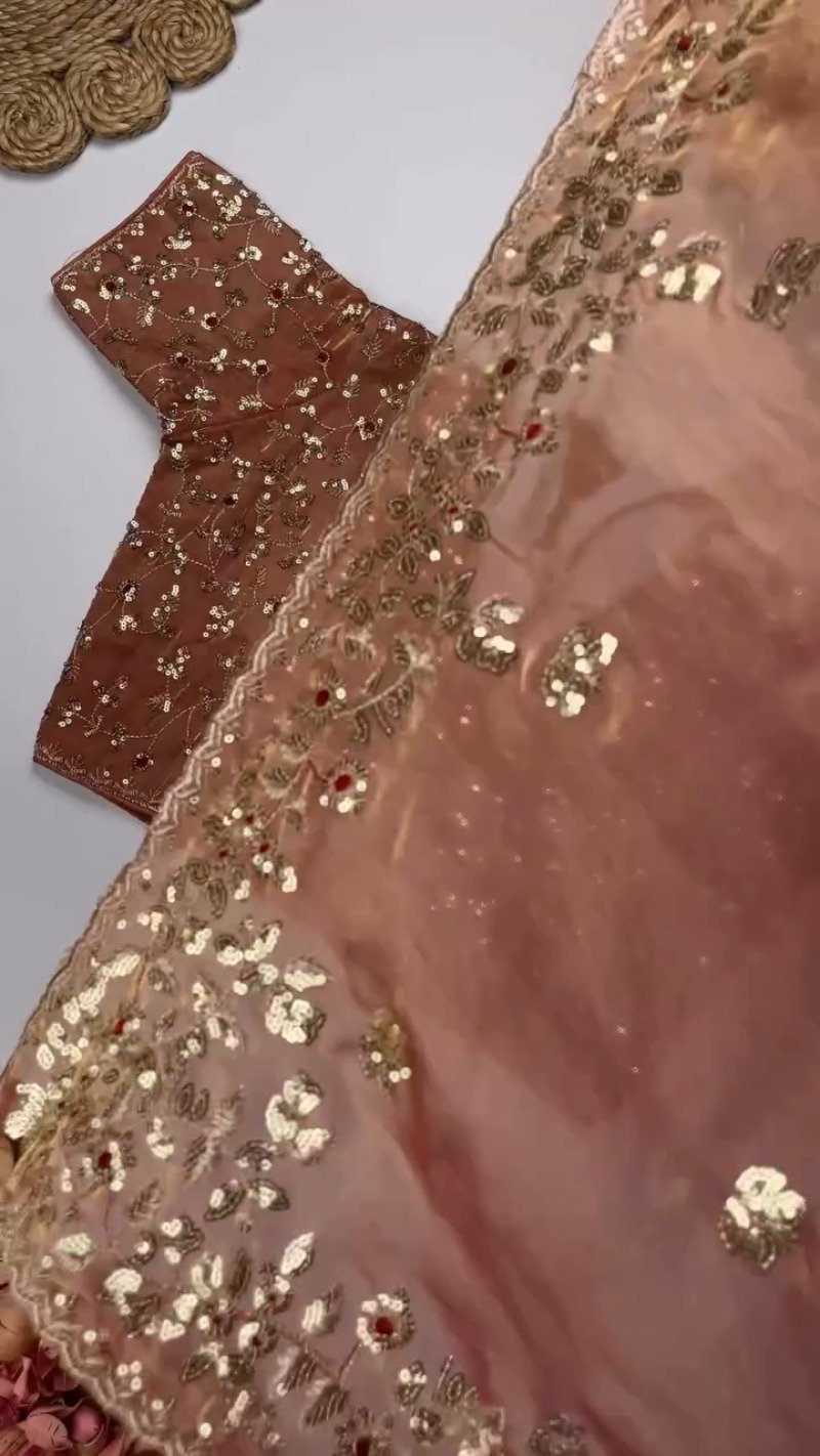 Elegant Embellished Chiffon Saree with Sequin-Work Blouse – Available in Ivory & Deep Crimson - Image 8