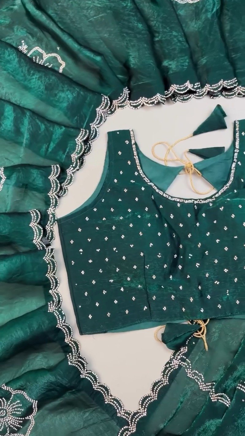 Emerald Radiance Stone-Embellished Organza Saree & Sleeveless Blouse Set