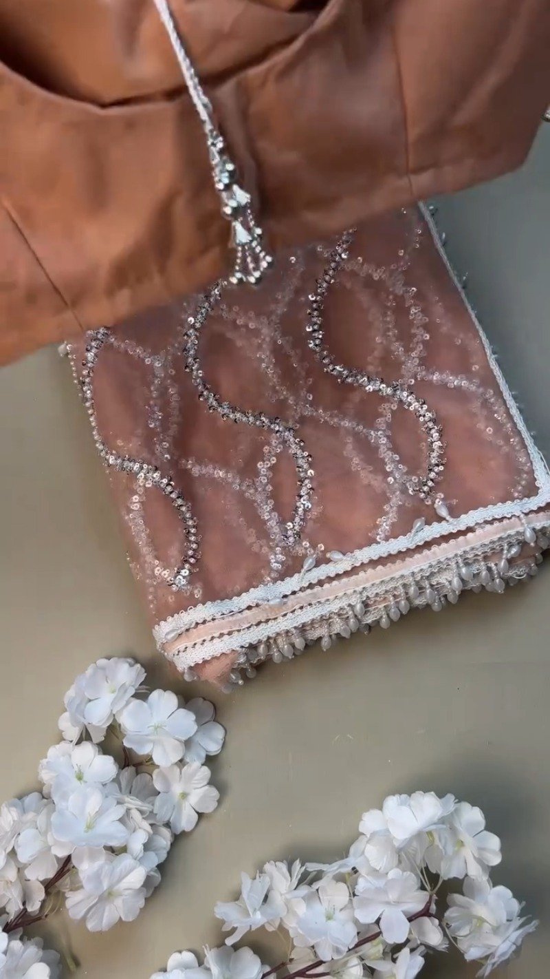 Peach Organza Sequinned Saree with Pearl-Detailed Scallop Border - Image 3