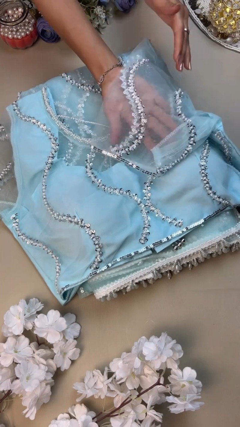 Ethereal Sky Blue Sequin-Embellished Organza Saree Set with Pearl Trims - Image 3