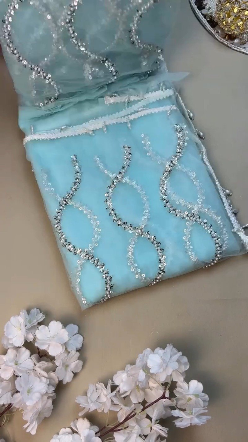 Ethereal Sky Blue Sequin-Embellished Organza Saree Set with Pearl Trims - Image 4