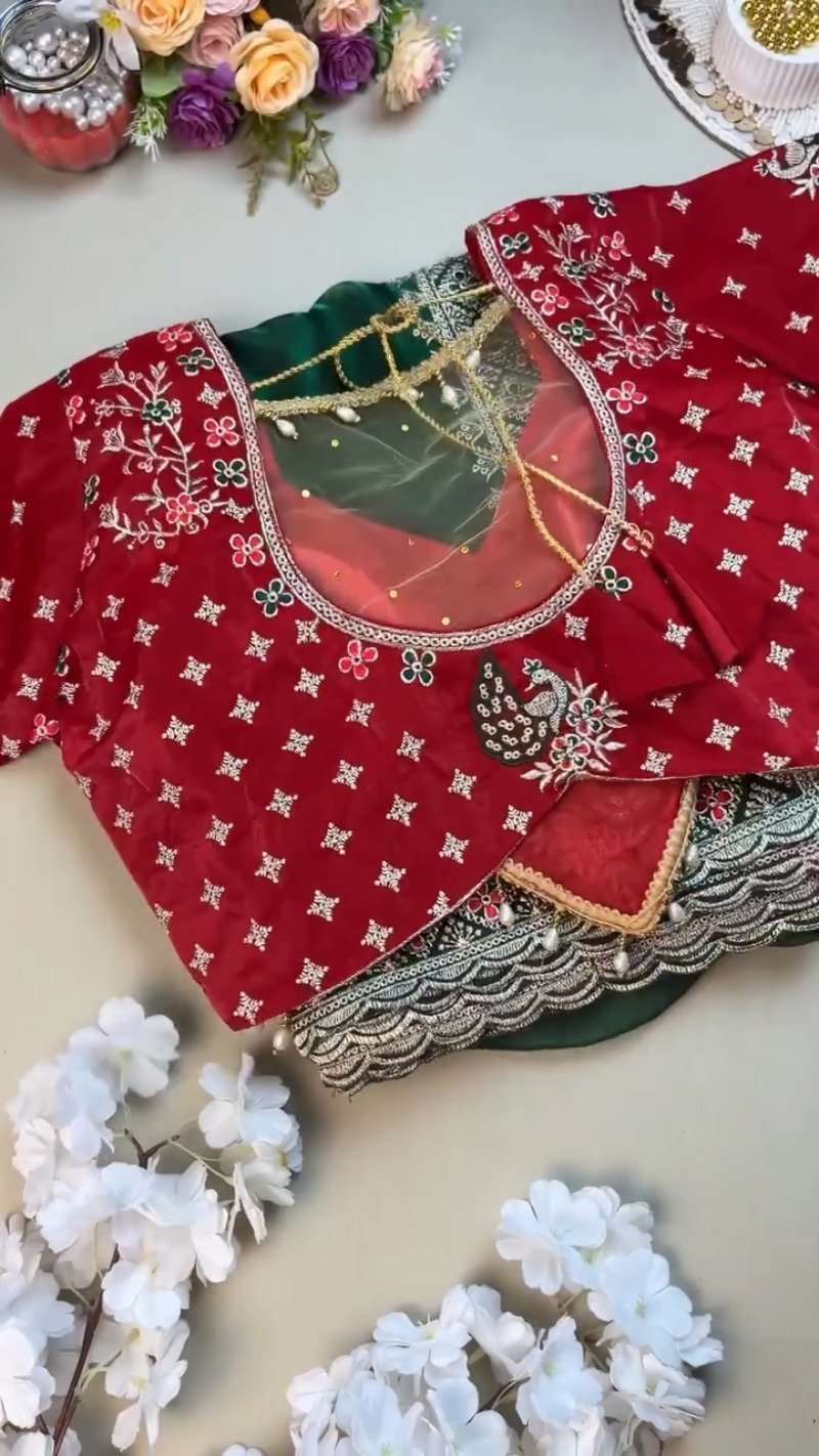 Regal Emerald Green Saree with Embroidered Red Blouse – Available in Green & Red - Image 3