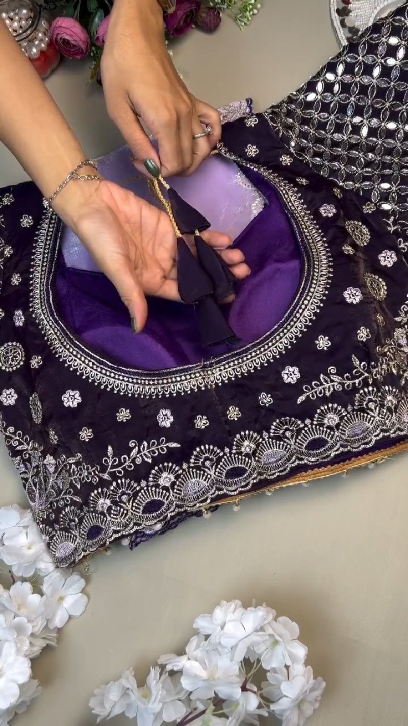 Opulent Velvet Mirror-Work Blouse & Organza Saree Set - Image 3