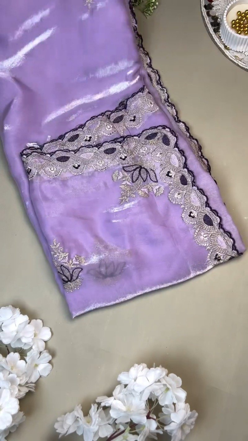 Opulent Velvet Mirror-Work Blouse & Organza Saree Set - Image 4