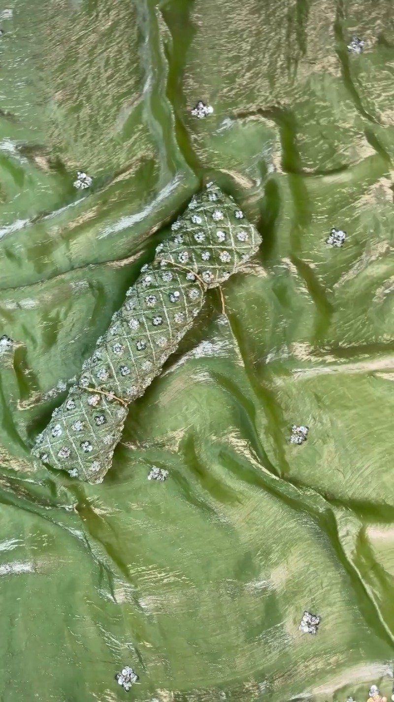 Olive Green Hand-Embellished Organza Saree Set - Image 3