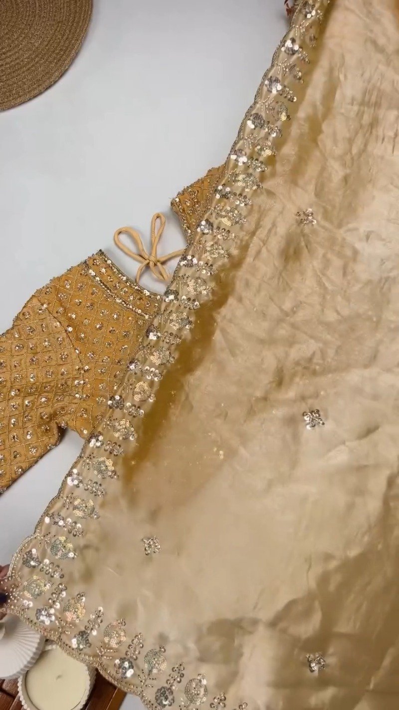 Opulent Velvet Sequined Festive Saree Set – Available in Mustard Gold, Royal Blue, Olive Green & Regal Red - Image 7